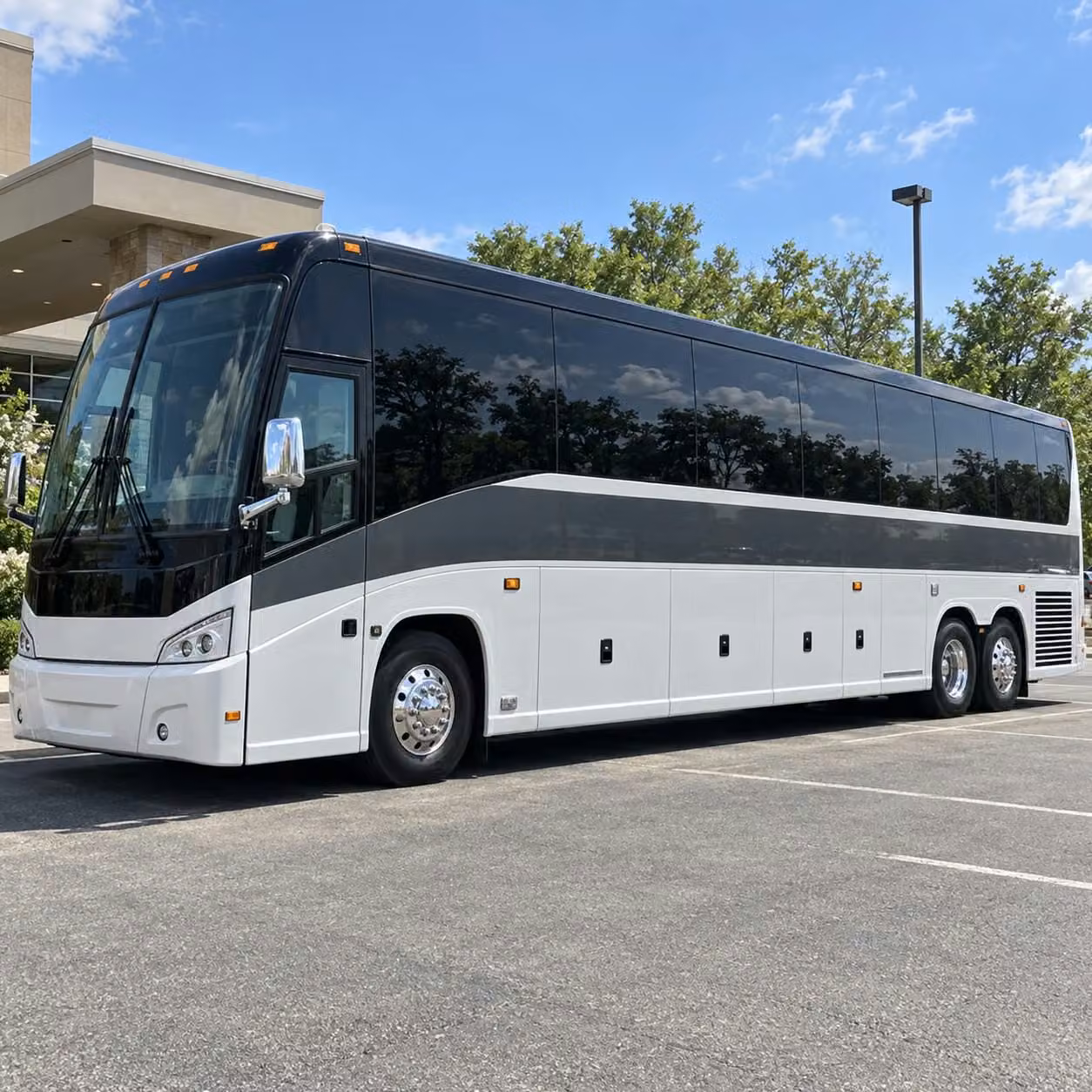 kansas city zoo and aquarium field trip bus rentals from olathe